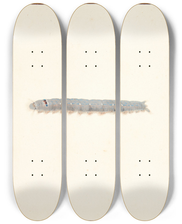 Triptych art skateboard deck of Pieter Holsteijn En Natsommerfuglelarve by Pieter Holsteijn
