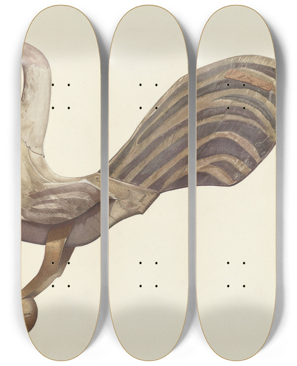 Triptych art skateboard deck of Lucille Chabot Rooster Weather Vane by Lucille Chabot