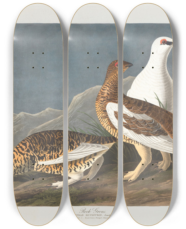 Triptych art skateboard deck of John James Audubon Rock Grous by John James Audubon (1785-1851)