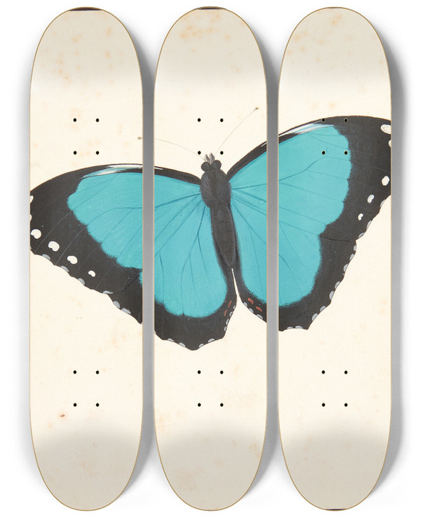 Triptych art skateboard deck of Pieter Holsteijn En Eksotisk by Pieter Holsteijn