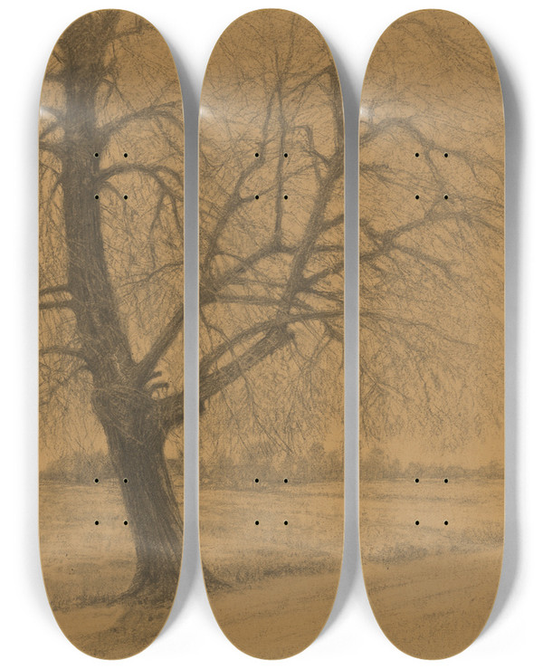Triptych art skateboard deck of Ladislav Mednynszky Tree by Ladislav Mednyanszky (1852-1919)