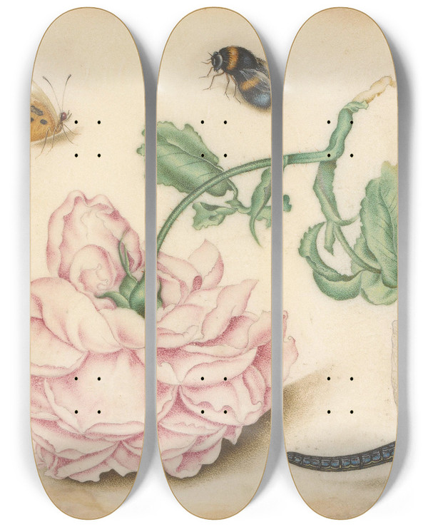 Triptych art skateboard deck of Christoffel Van Den Berghe A Rose And Five Insects by Christoffel Van Den Berghe (1590-1628)