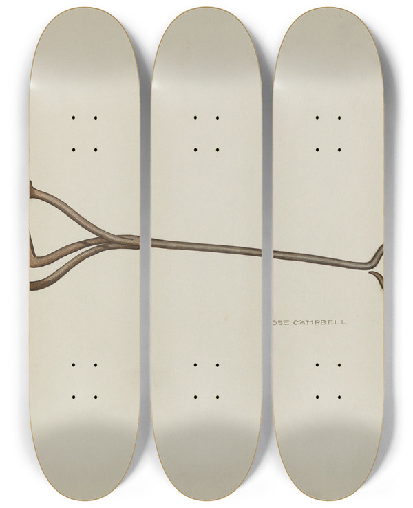 Triptych art skateboard deck of Rose Campbellgerke Branding Iron by Rose Campbell Gerke (1882)