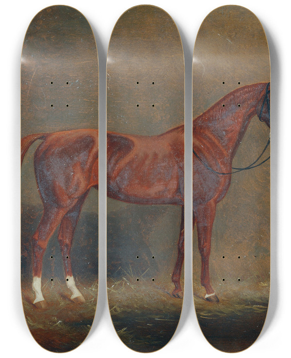 Triptych art skateboard deck of Monogrammist A G Portrt Eines Reitpferdes by Monogrammist A G