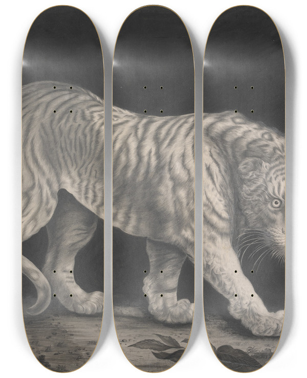 Triptych art skateboard deck of Elizabeth Pringle A Prowling Tiger by Elizabeth Pringle