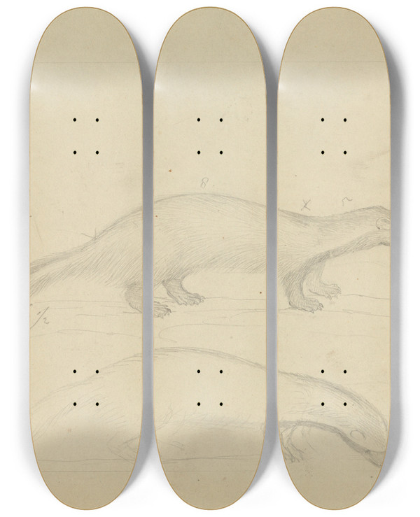 Triptych art skateboard deck of James Sowerby Two Weasels_2 by James Sowerby (1757-1822)