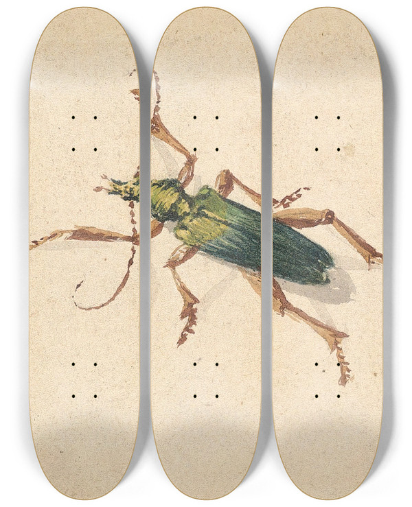 Triptych art skateboard deck of Jan Vincentsz Van Der Vinne Green Beetle With Brown Legs by Jan Vincentsz van der Vinne (1663-1721)