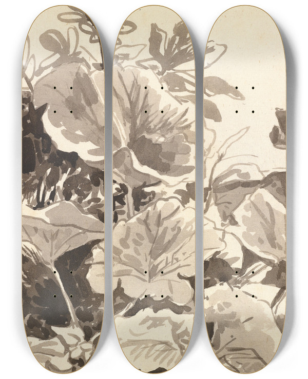 Triptych art skateboard deck of Franz Kobell Study Of Coltsfoot Leaves by Franz Kobell (1749-1822)