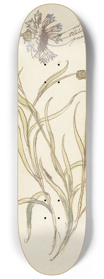 Elias van Nijmegen - Anjers 8.25 inch art skate deck