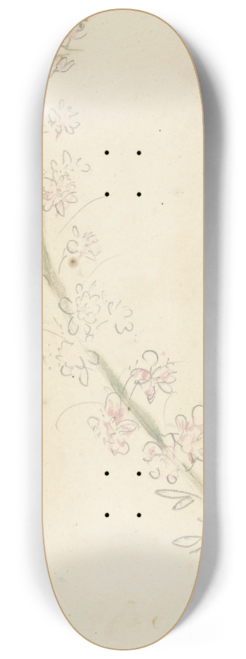 Elias van Nijmegen - Ridderspoor 8.25 inch art skate deck