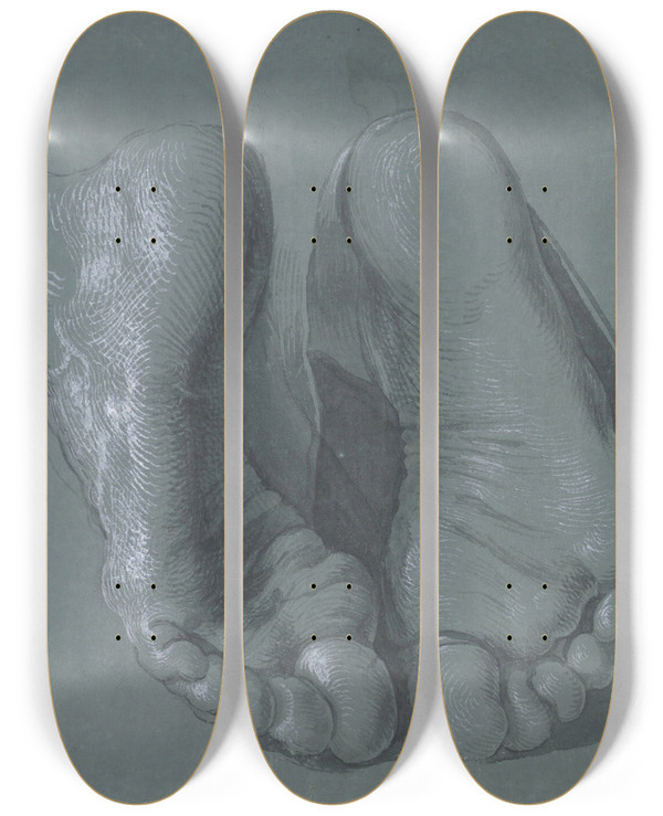 Triptych art skateboard deck of Albrecht Drer Study Of Two Feet by Albrecht Durer (1471-1528)