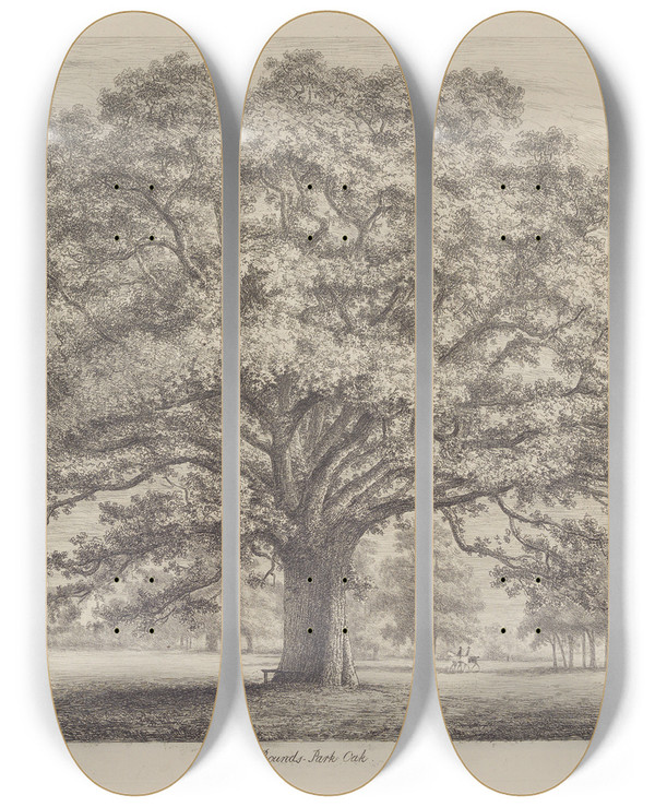Triptych art skateboard deck of Jacob George Strutt The Boundspark Oak by Jacob George Strutt (1784-1867)
