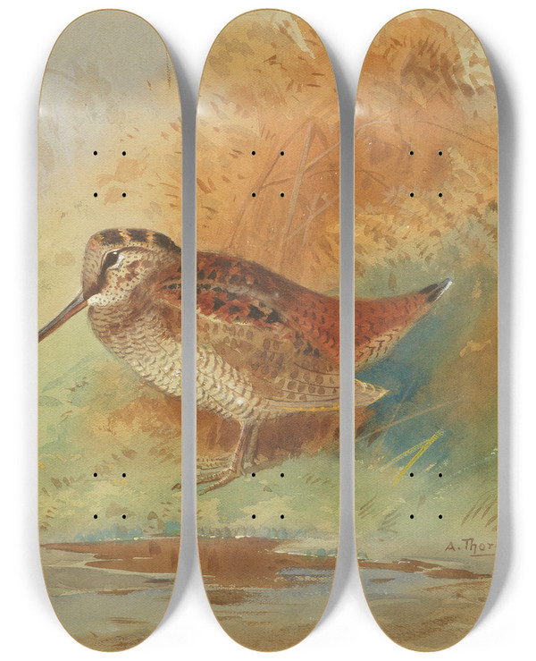 Triptych art skateboard deck of Archibald Thorburn Woodcock At Waters Edge by Archibald Thorburn (1860-1935)