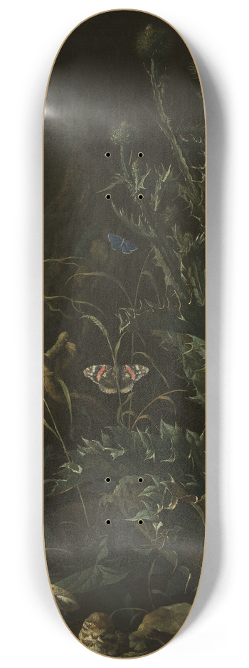 Abraham Jansz. Begeyn - Thistles, butterflies and a lizard 8.25 inch art skate deck