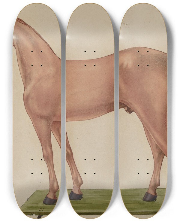 Triptych art skateboard deck of Alf Bruseth Horse Statue by Alf Bruseth