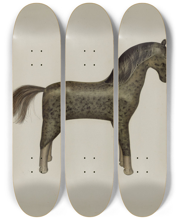 Triptych art skateboard deck of Selma Sandler Horse_2 by Selma Sandler