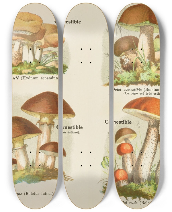 Triptych art skateboard deck of Delachaux Niestle Petit Atlas Des Champignons Pl4 by Delachaux Niestle (1882)