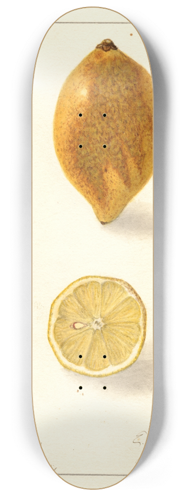 Ellen Isham Schutt - Citrus limon 8.25 inch art skate deck
