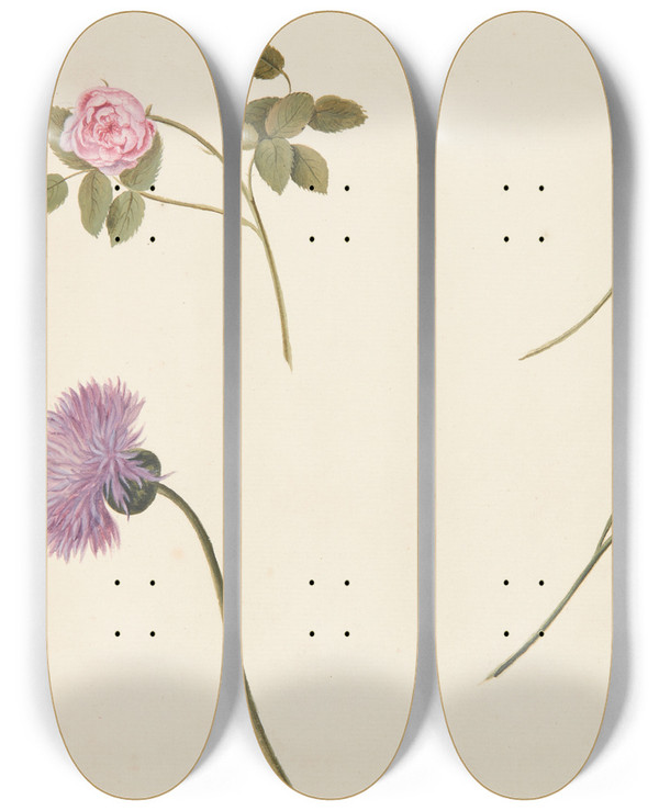 Triptych art skateboard deck of Johanna Fosie Studie Af Blomster by Johanna Fosie (1726-1764)