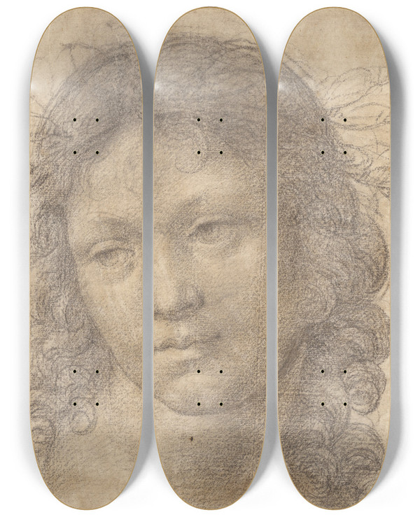 Triptych art skateboard deck of Lorenzo Di Credi The Head Of A Young Boy Crowned With Laurel by Lorenzo di Credi (1459-1537)