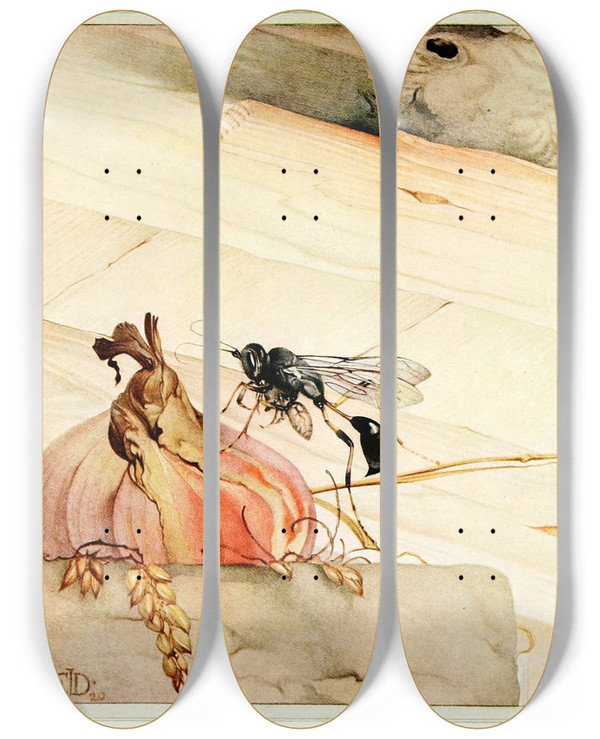Triptych art skateboard deck of Edward Julius Detmold A Masonwasp by Edward Julius Detmold (1883-1957)