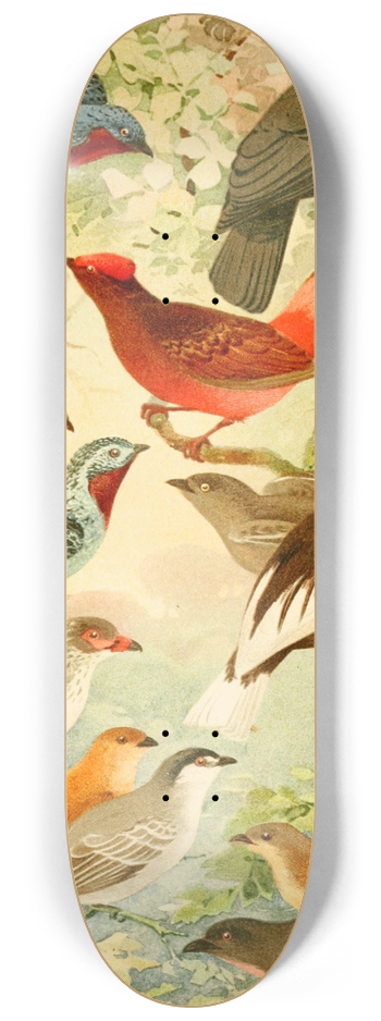 Emil August Gldi - Anambs 8.25 inch art skate deck