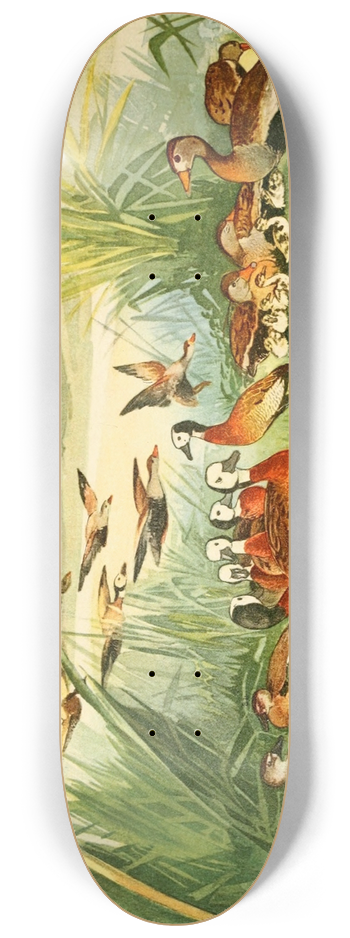 Emil August Gldi - Marrecas 8.25 inch art skate deck