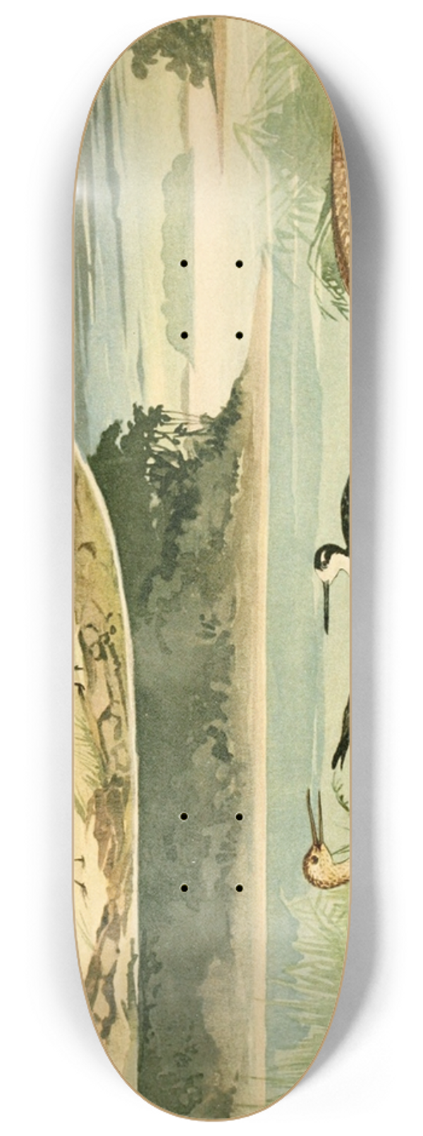 Emil August Gldi - Massaricos e Massarices 8.25 inch art skate deck