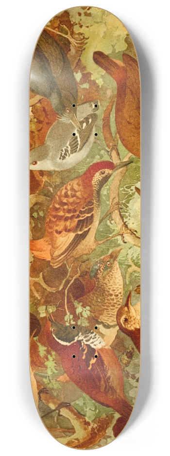 Emil August Gldi - Taiac-uir, Pinto do mato, Me da taca 8.25 inch art skate deck