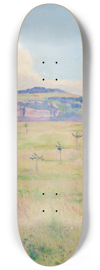 Emile Patru - Salve 8.25 inch art skate deck