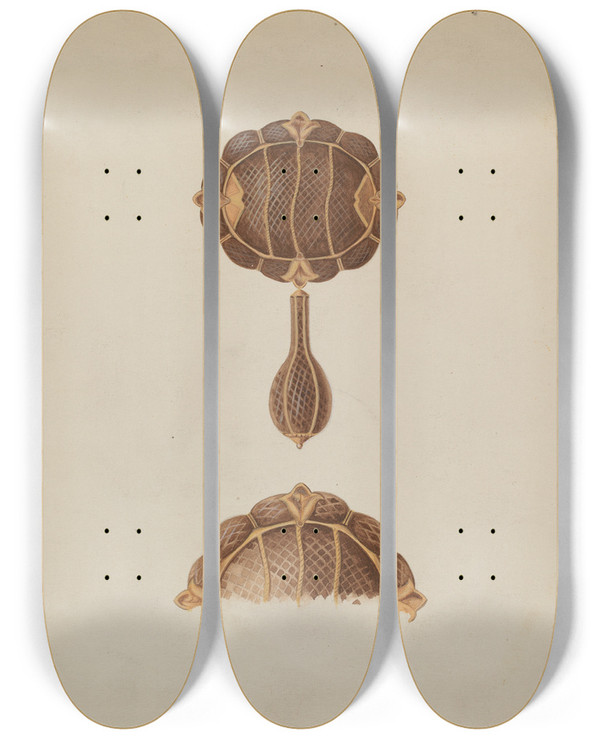 Triptych art skateboard deck of Bertha Semple Brooch_1 by Bertha Semple