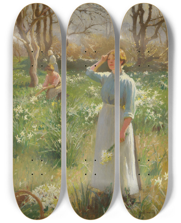 Triptych art skateboard deck of Harold Charles Francis Harvey Daffodils by Harold Charles Francis Harvey (1874-1941)