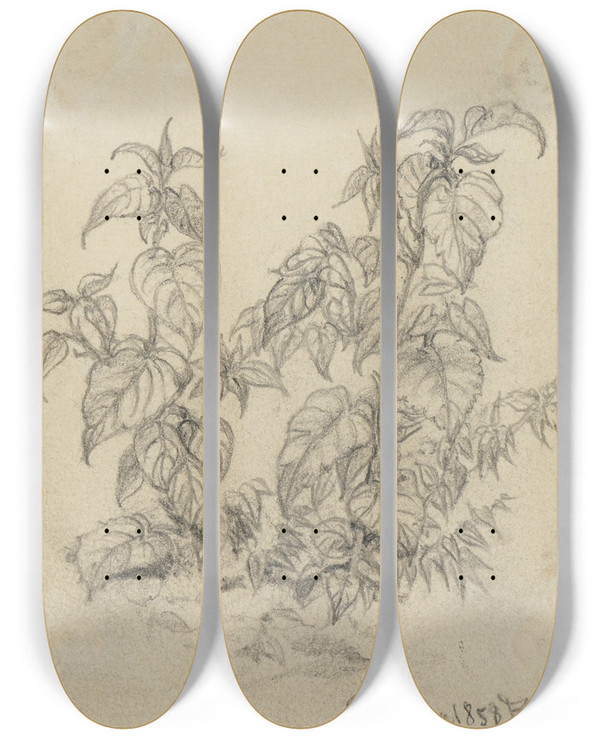 Triptych art skateboard deck of Ferdinand Keller Pflanzenstudie Viii by Ferdinand Keller (1842-1922)