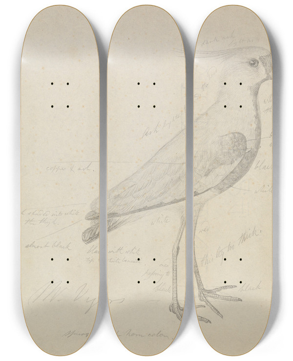 Triptych art skateboard deck of James Sowerby A Lapwing by James Sowerby (1757-1822)