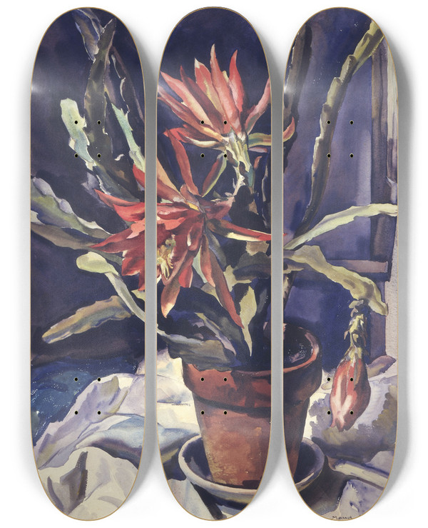 Triptych art skateboard deck of Maud Sherwood Cactus by Maud Sherwood (1880-1956)