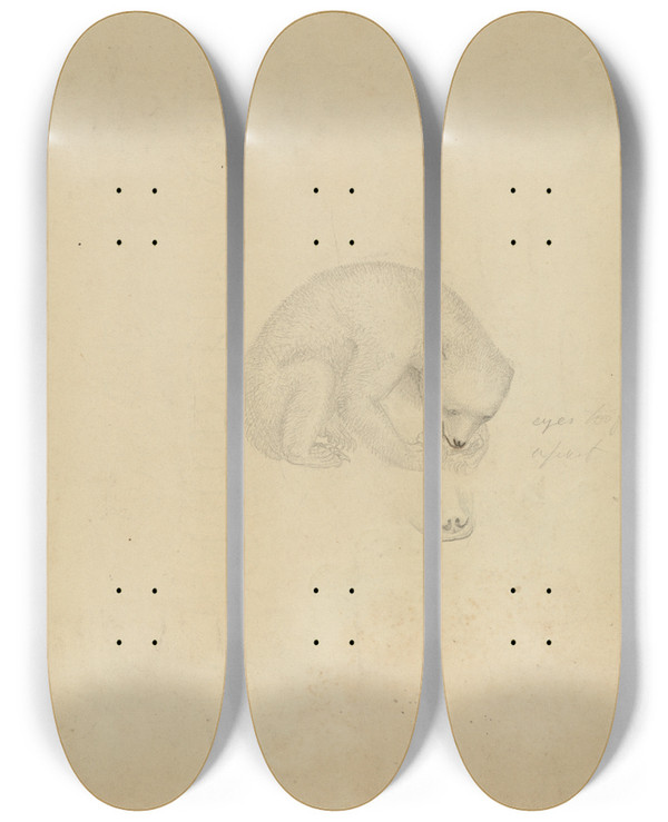 Triptych art skateboard deck of James Sowerby A Bear_2 by James Sowerby (1757-1822)
