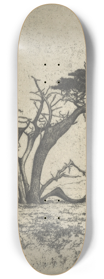 Ernest Haskell - Antlers 8.25 inch art skate deck