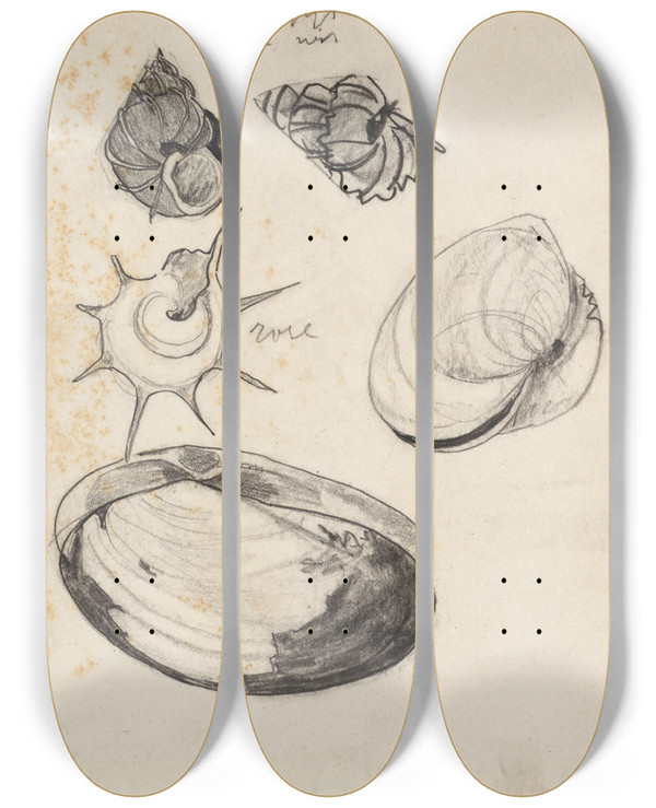 Triptych art skateboard deck of Theo Nieuwenhuis Studieblad Met Schelpen by Theo Nieuwenhuis (1866-1951)