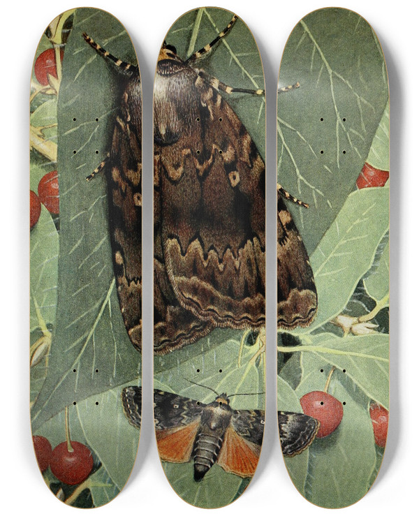 Triptych art skateboard deck of Paulandre Robert La Pyramide by Paul-Andre Robert (1901-1977)