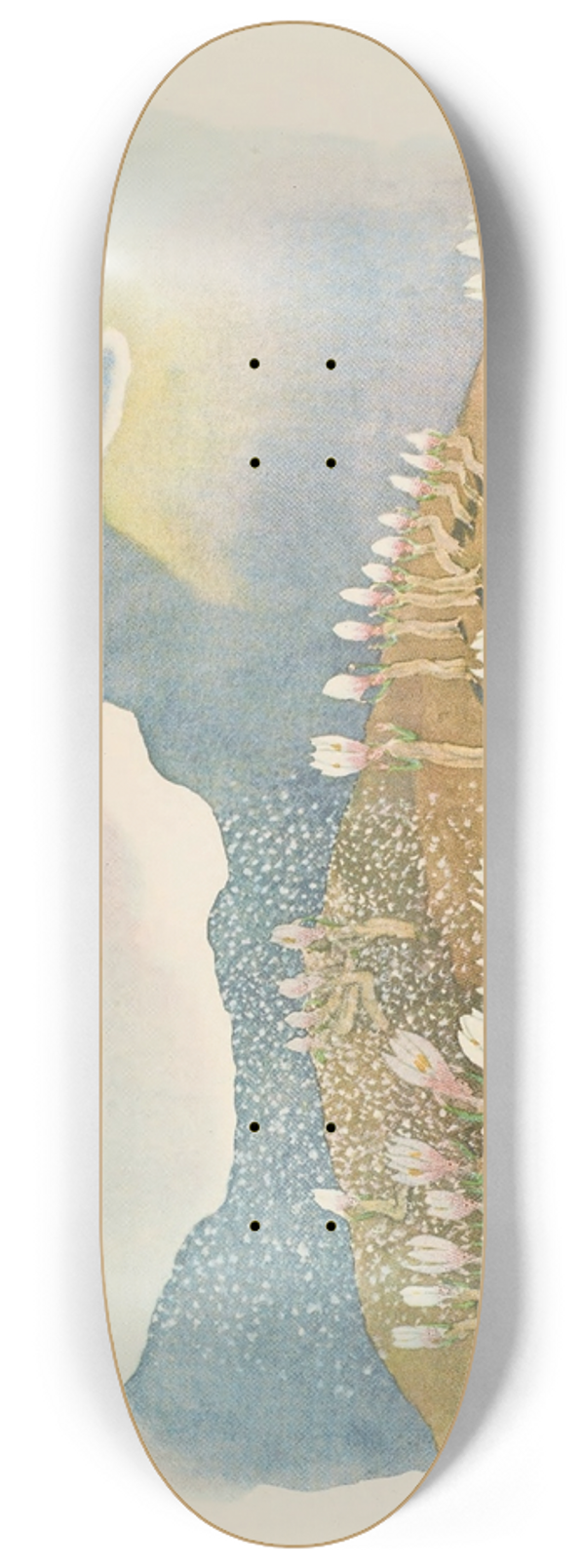 Ernst Kreidolf - Krokus 8.25 inch art skate deck