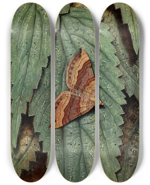 Triptych art skateboard deck of Paulandre Robert Leubolie Limite by Paul-Andre Robert (1901-1977)