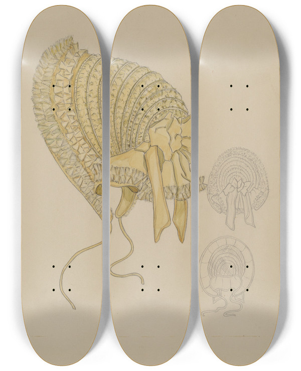 Triptych art skateboard deck of Gladys Cook Bonnet_2 by Gladys Cook
