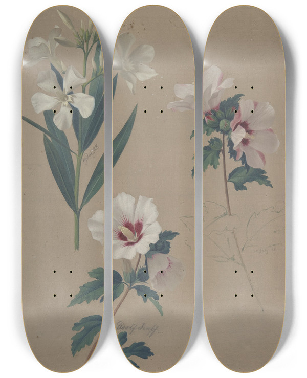 Triptych art skateboard deck of Adolf Senff Study Of Hibiscus Plants by Adolf Senff (1785-1863)