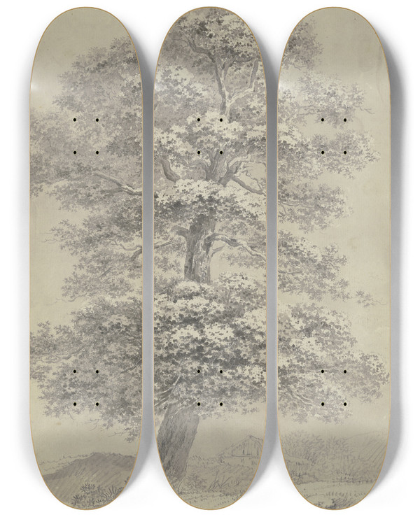 Triptych art skateboard deck of Heinrich Rieter Oak Trees by Heinrich Rieter (1751-1818)