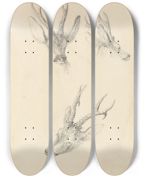 Triptych art skateboard deck of Robert Hills A Stags Head Three Studies by Robert Hills (1769-1844)
