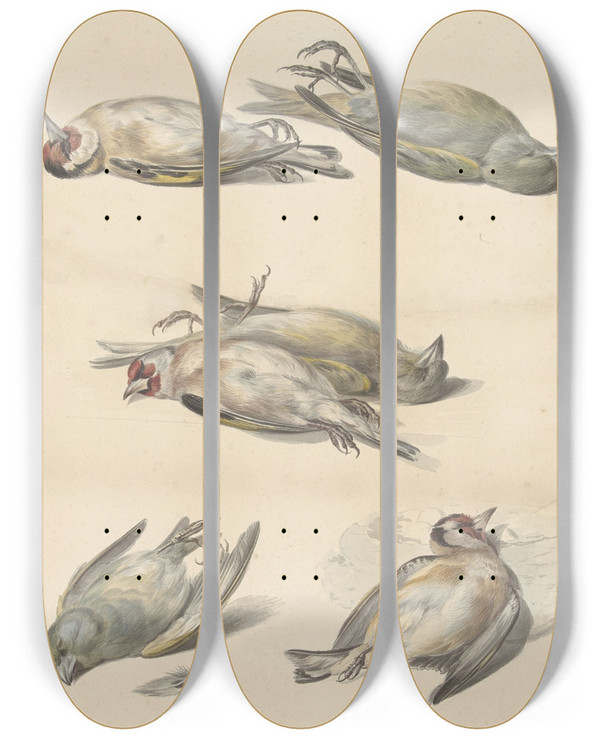 Triptych art skateboard deck of Willem Van Leen Zes Dode Vogeltjes_2 by Willem van Leen (1753-1825)
