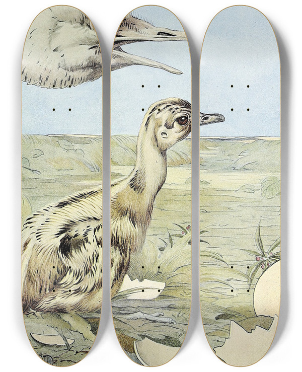 Triptych art skateboard deck of Edward Julius Detmold The Rhea by Edward Julius Detmold (1883-1957)