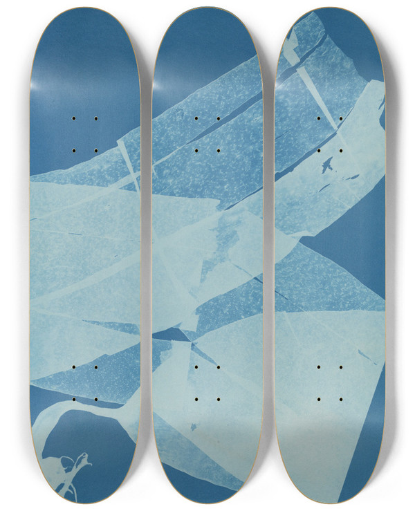 Triptych art skateboard deck of Anna Atkins Laminaria Bulbosa by Anna Atkins (1799-1871)