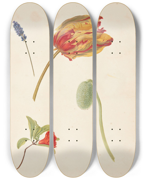 Triptych art skateboard deck of Johanna Fosie Studie Af Tulipan Og Andre Blomster by Johanna Fosie (1726-1764)