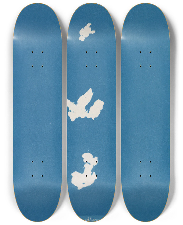 Triptych art skateboard deck of Anna Atkins Codium Adhaerens by Anna Atkins (1799-1871)